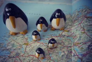 8 Gründe, warum mein Herz für Gruppenreisen schlägt