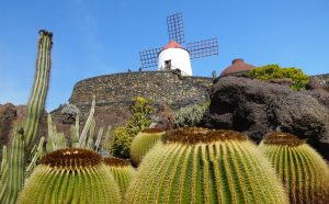 Jardin de Cactus auf Lanzarote: Kakteen, Lavagestein und „Läuseblut“