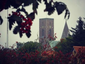 Ribe – 6 Tipps für Dänemarks älteste Stadt