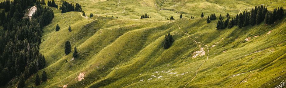 Beautiful aerial capture of green rolling hills and dense forest with hiking trails.