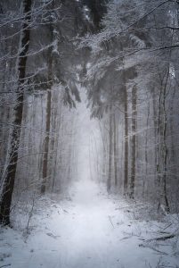 Zauberhafte Winterspaziergänge durch verschneite deutsche Wälder und Lichter